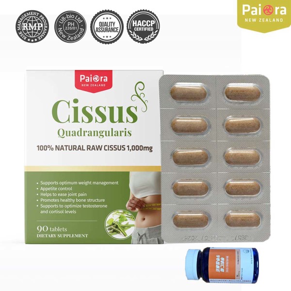 뉴질랜드 파이오라 시서스 추출물 가루 알약 1000mg 90정(3개월분) 사은품 증정